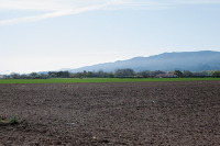 3942 Roblar #3, Santa Ynez, CA 93460 