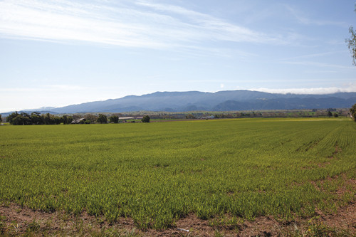 3942 Roblar Avenue, Santa Ynez, CA 93460 