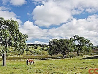 9229 Alisos Canyon Road, Los Alamos, CA 93440 