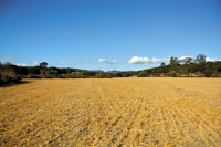 3145 Highway 246, Lompoc, CA 93436 