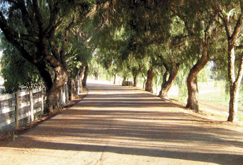 9499 Santa Rosa Rd, Buellton, CA 93427 