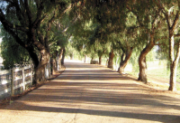 9499 Santa Rosa Rd, Buellton, CA 93427 