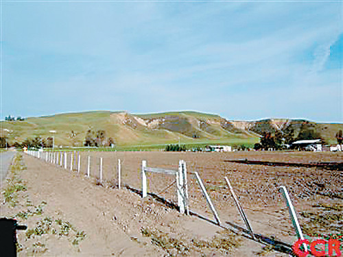 198 San Juan, Shandon, CA 93461 