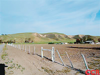 198 San Juan, Shandon, CA 93461 