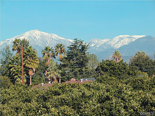 301 West Palm Avenue, Redlands, CA 92373 