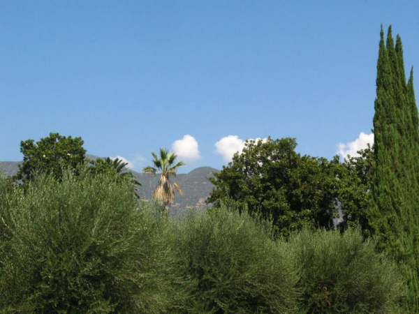 0000 Grand Ave, Ojai, CA 93023 