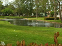 2424 Apple Lane, Oxnard, CA 93036 