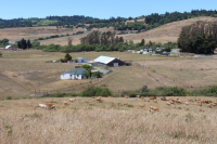 305 Valley Ford Freestone Road, Petaluma, CA 94972 