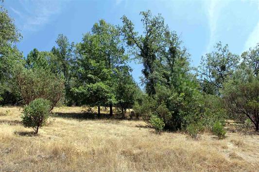 0 Oneto/ Shake Ridge Road, Sutter Creek, CA 95685 