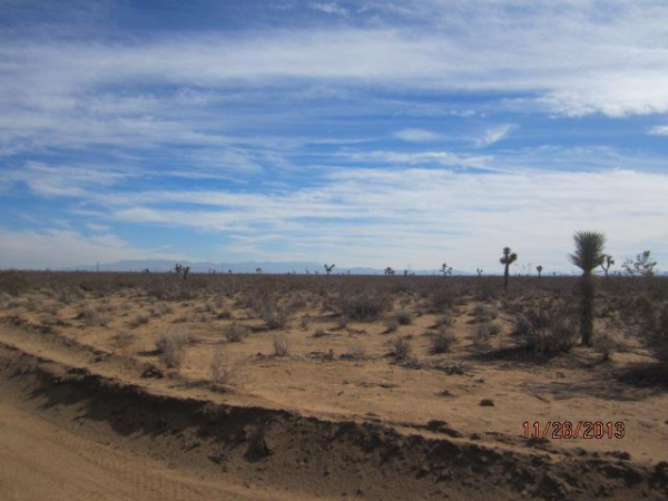 3129-481-01 Cactus, Adelanto, CA 92301 