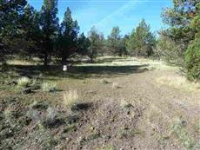 U9-1 Lot 53 Palomino RD, Weed, CA 96094 