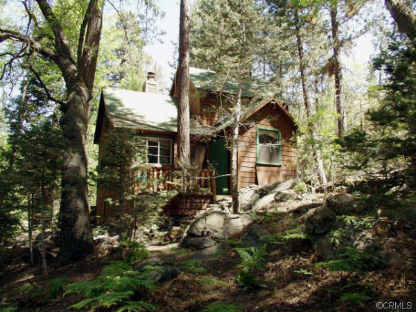 46 Round Cienega Tract, Angelus Oaks, CA 92305 