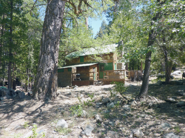 141 Barton Flats Tract, Angelus Oaks, CA 92305 