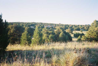 7 Bison  Trail, Walsenburg, CO 81089 