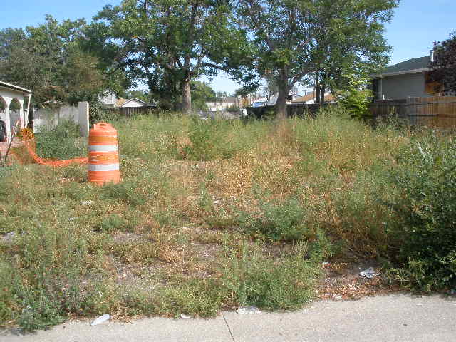 1423 W DAKOTA AVE, DENVER, CO 80223 