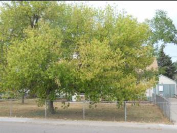 825 S 2nd Ave, Brighton, CO 80601 