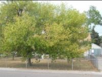 825 S 2nd Ave, Brighton, CO 80601 