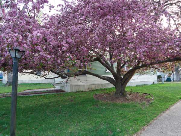 3003 Valmont Road, #45, Boulder, CO 80301 