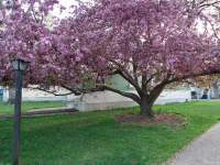 3003 Valmont Road, #45, Boulder, CO 80301 