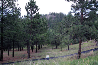 14850 Quandary Rd, Pine, CO 80470 