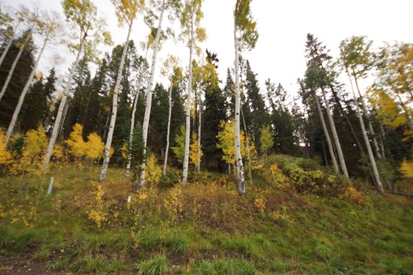 108 Double Eagle Way, Mountain Village, CO 81435 