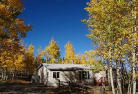 796 Singletree Roa, Hartsel, CO 80449 