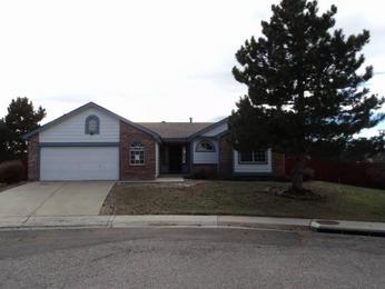 870 N Tabor Court, Castle Rock, CO 80104 