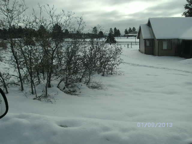 348 East Golf Pl, Pagosa Springs, CO 81147 