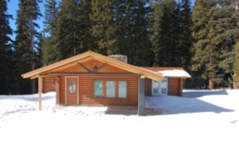 115 Pine Way, Idaho Springs, CO 80452 