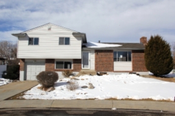 11141 Gray St, Westminster, CO 80020 