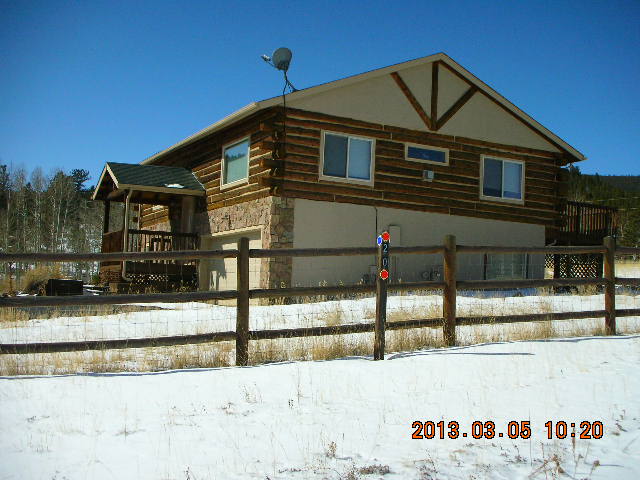 20 Meadow Ln, Bailey, CO 80421 