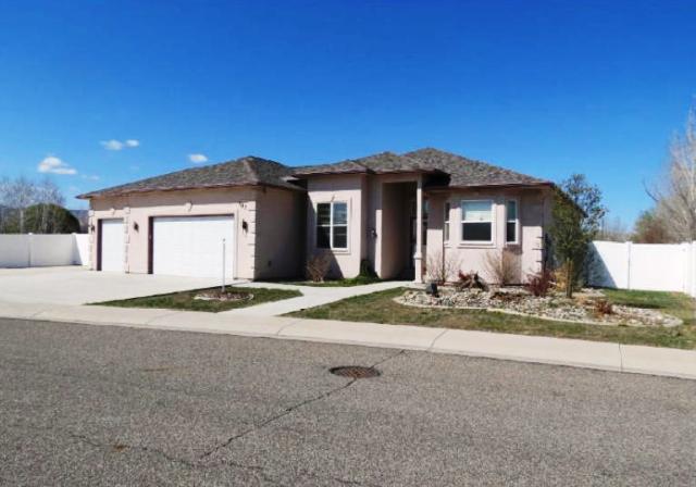 707 Carlotta Court, Fruita, CO 81521 