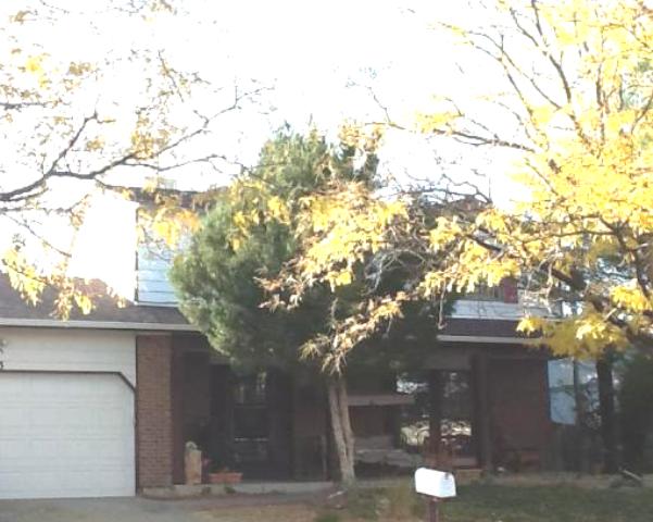 1513 South Dearborn Street, Aurora, CO 80012 