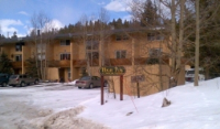 163 High Tor Rd #4, Breckenridge, CO 80424 