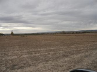 1550 17 Rd, Loma, CO 81524 