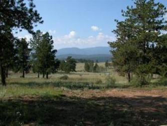 14785 S Wandcrest Dr (Apn# 45260), Pine, CO 80470 