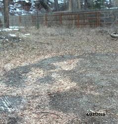 20 River Trail Rd, Placerville, CO 81430 