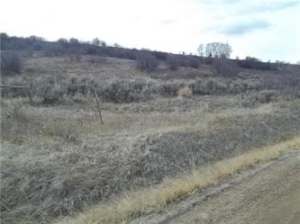 Lot 1 Vista Ridge Drive (Apn # 2684, Steamboat Springs, CO 80487 