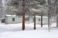 1860 Autumn Dr, Leadville, CO 80461 