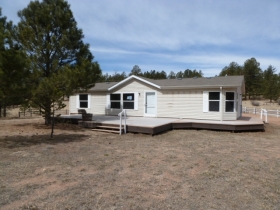 236 Obsidian Drive, Florissant, CO 80816 