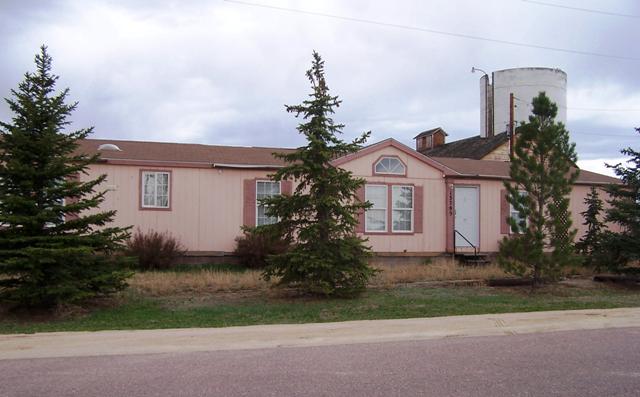 13795 Judge Orr Rd, Peyton, CO 80831 