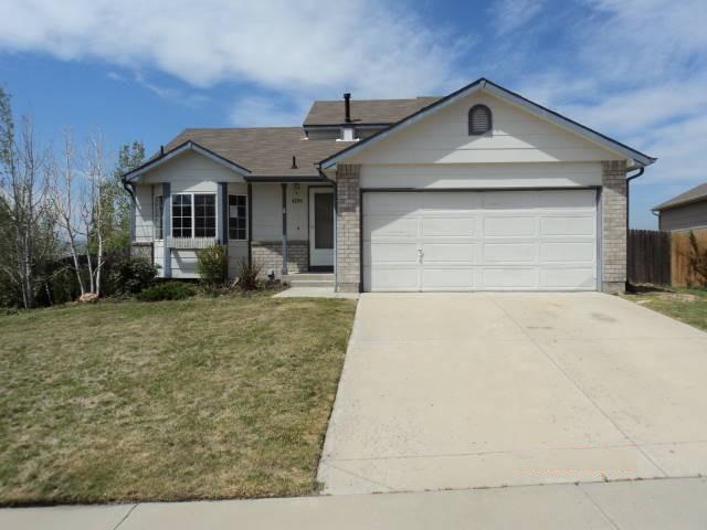4299 Deer Watch Dri, Castle Rock, CO 80104 