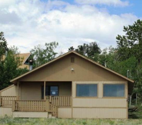 233 Tiara Rd, Lake George, CO 80827 