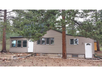 216 Neal Street, Bailey, CO 80421 