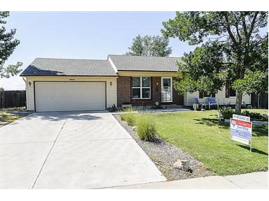 11133 DONLEY Drive, Parker, CO 11133 