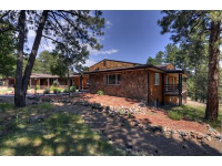 8291 MARIPOSA Drive, Morrison, CO 80465 