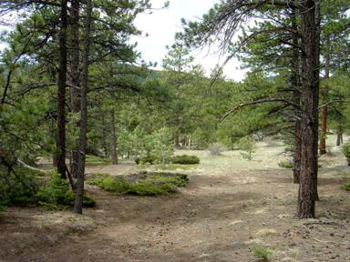 6 Plowsher Way, Morrison, CO 80465 