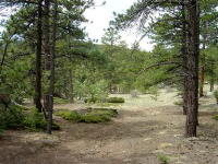 6 Plowsher Way, Morrison, CO 80465 