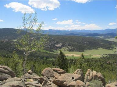 7925 ROSSMAN GULCH Road, Morrison, CO 80465 