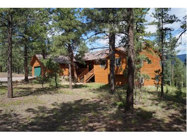 43 TWO BITS Street, Bailey, CO 80421 